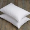 Pack Of 2 Teflon Ultimate Stain Resistant Side Sleeper Pillows -furn Sale Store 30422250