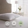 Dorma Full Forever Anti-Allergy Side Sleeper Continental Pillow 1 Dorma Full Forever Anti-Allergy Side Sleeper Continental Pillow -furn Sale Store 30594540