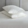 Pack Of 2 Duck Feather Back Sleeper Pillows -furn Sale Store 30816630
