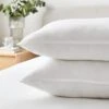 Hotel Pack Of 2 Luxury Cotton Anti Allergy Side Sleeper Pillows